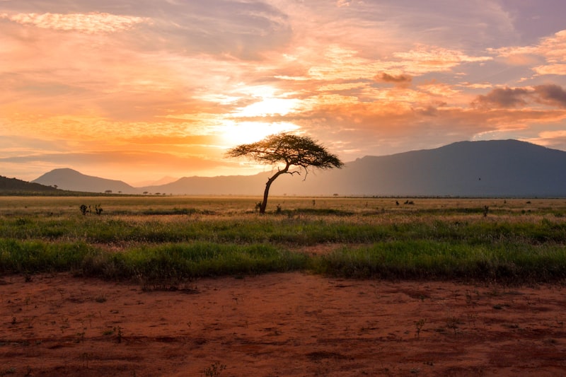 Cratère du Ngorongoro