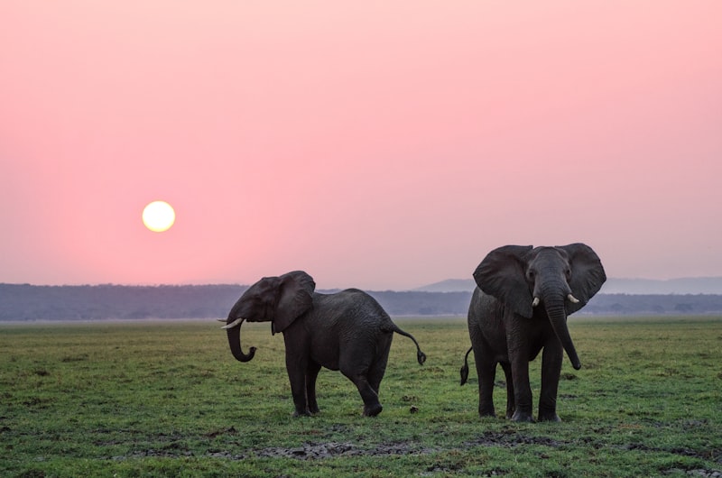 Parc National de Tarangire